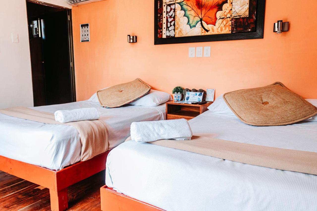 Hotel Blue Bird Bacalar Pokoj fotografie