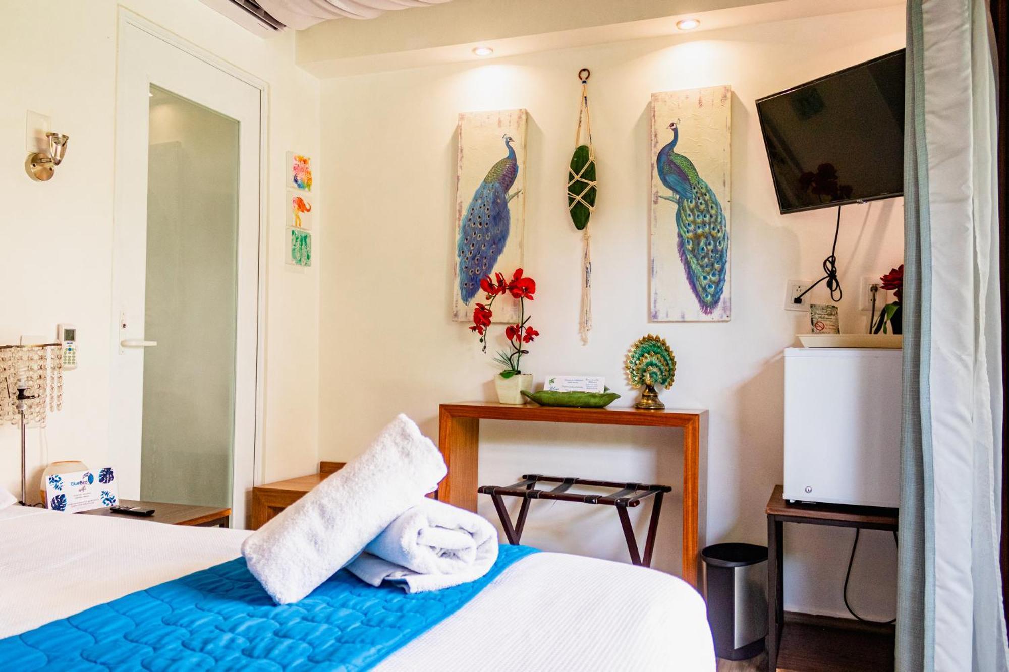 Hotel Blue Bird Bacalar Pokoj fotografie