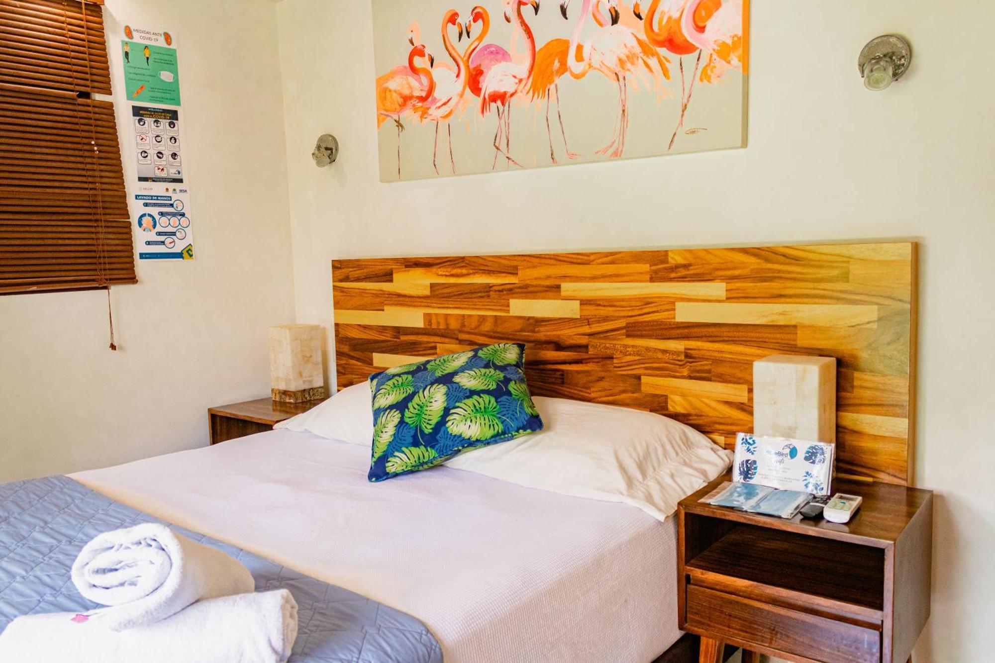 Hotel Blue Bird Bacalar Pokoj fotografie